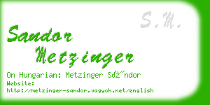 sandor metzinger business card